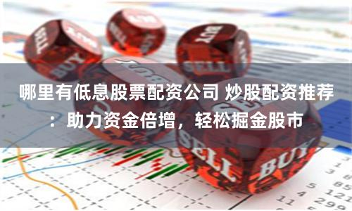 哪里有低息股票配资公司 炒股配资推荐：助力资金倍增，轻松掘金股市